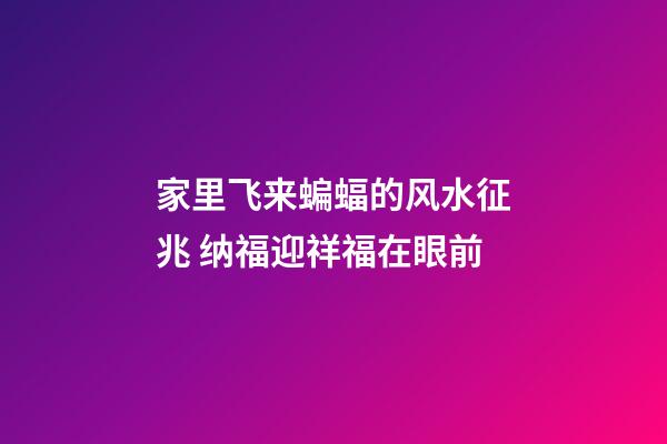 家里飞来蝙蝠的风水征兆 纳福迎祥福在眼前